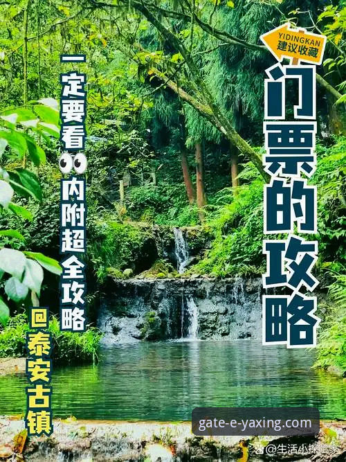 亚星平台新手教程 亚星体育平台新手入门全面解析:从注册到畅玩的完整指南