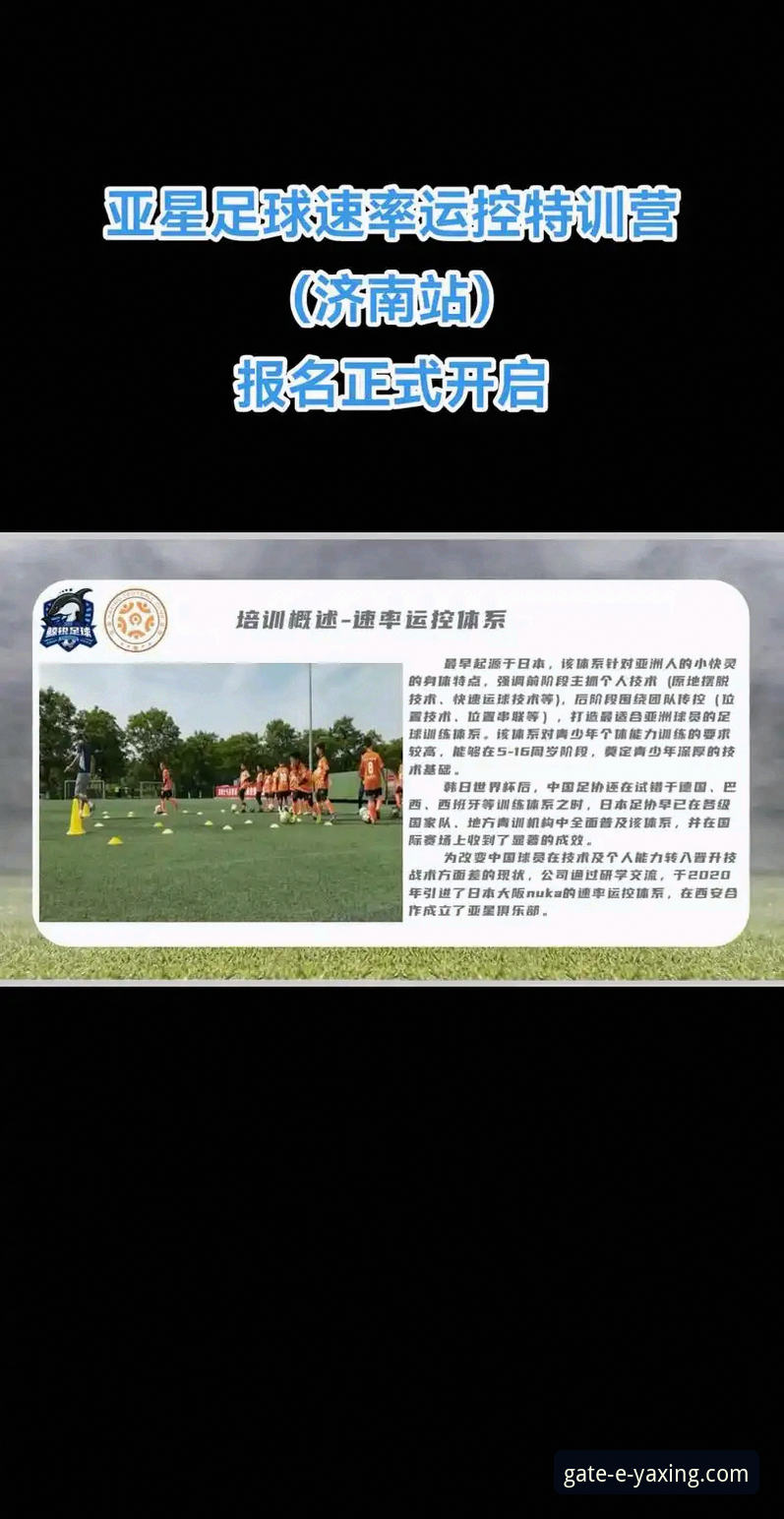 亚星体育平台手机版下载与使用实用指南